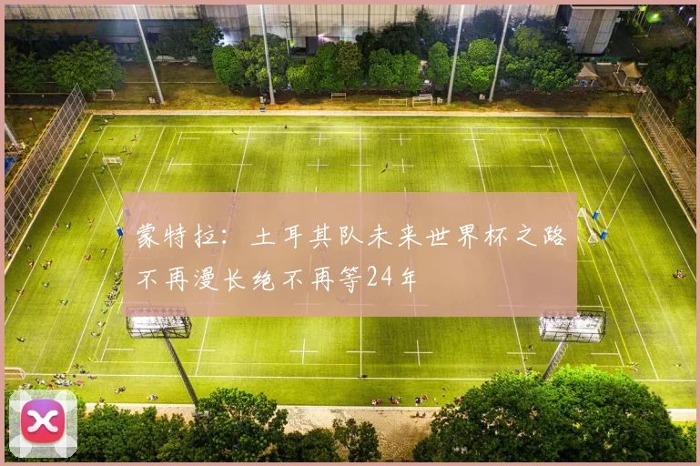 蒙特拉：土耳其队未来世界杯之路不再漫长绝不再等24年